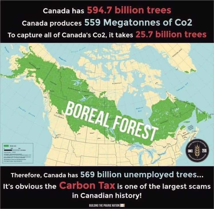 “We’ve seen a pattern from this gov't of making grandiose promises around elections, but not following through. Planting trees is one of the cheapest forms of climate action, while regenerating forests can also reduce erosion.” Carbon tax is not the answer globalnews.ca/news/8446036/o…