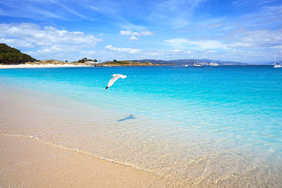 DigestivoVigo's tweet photo. Y vosotros en qué lugar agradable recomendáis pensar a vuestros pacientes durante la sedación en endoscopia ⁉️
Cancún 🌴☀️ o… Vigo! 🏖😍

📢👇🏻
El próximo curso de Sedación en Endoscopia tendrá sede en Vigo los días 20 y 21 de Octubre 😎 

Sigue leyendo… 👀👇🏻 https://t.co/gzshkrbJbj