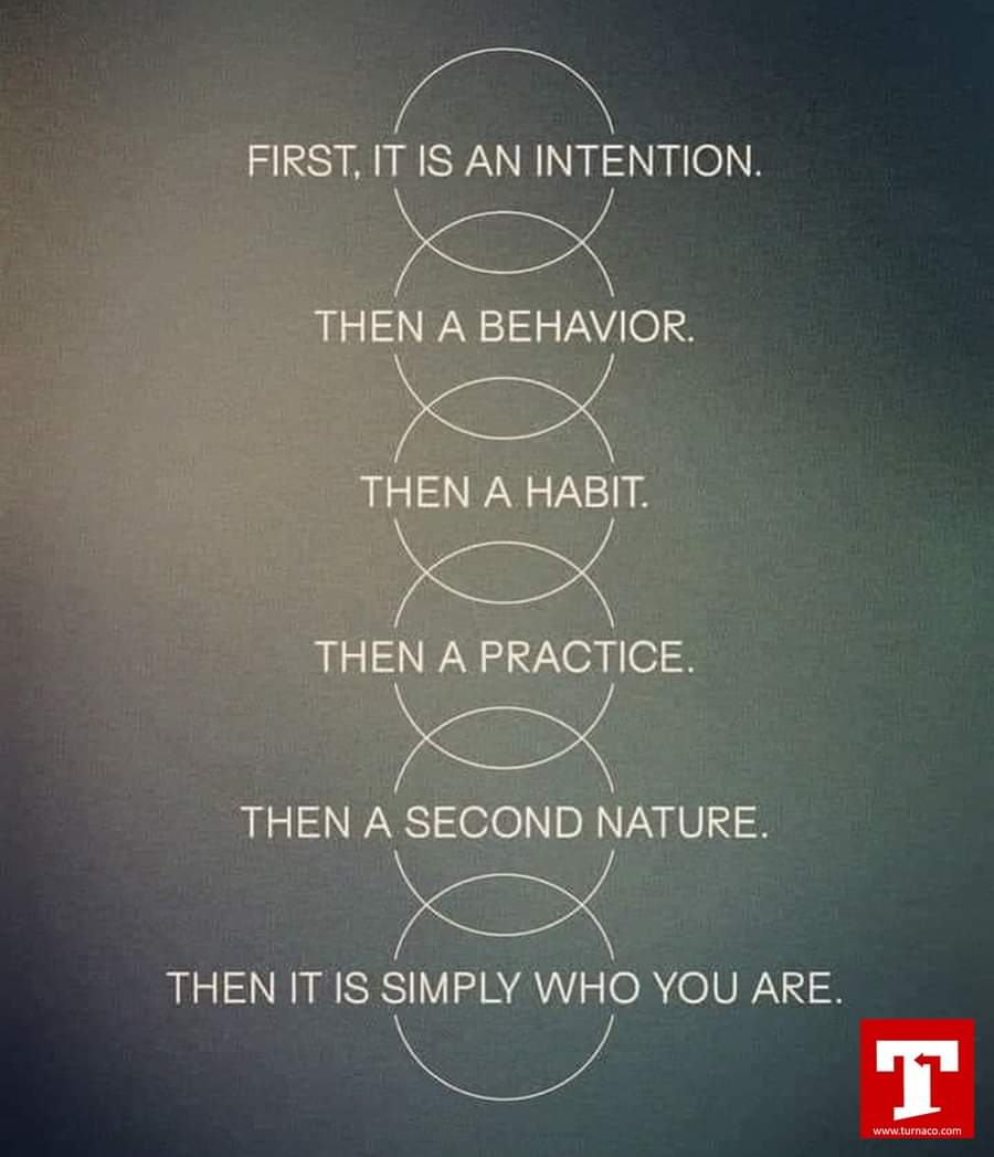 Neuroplasticity in action.🧠🌱