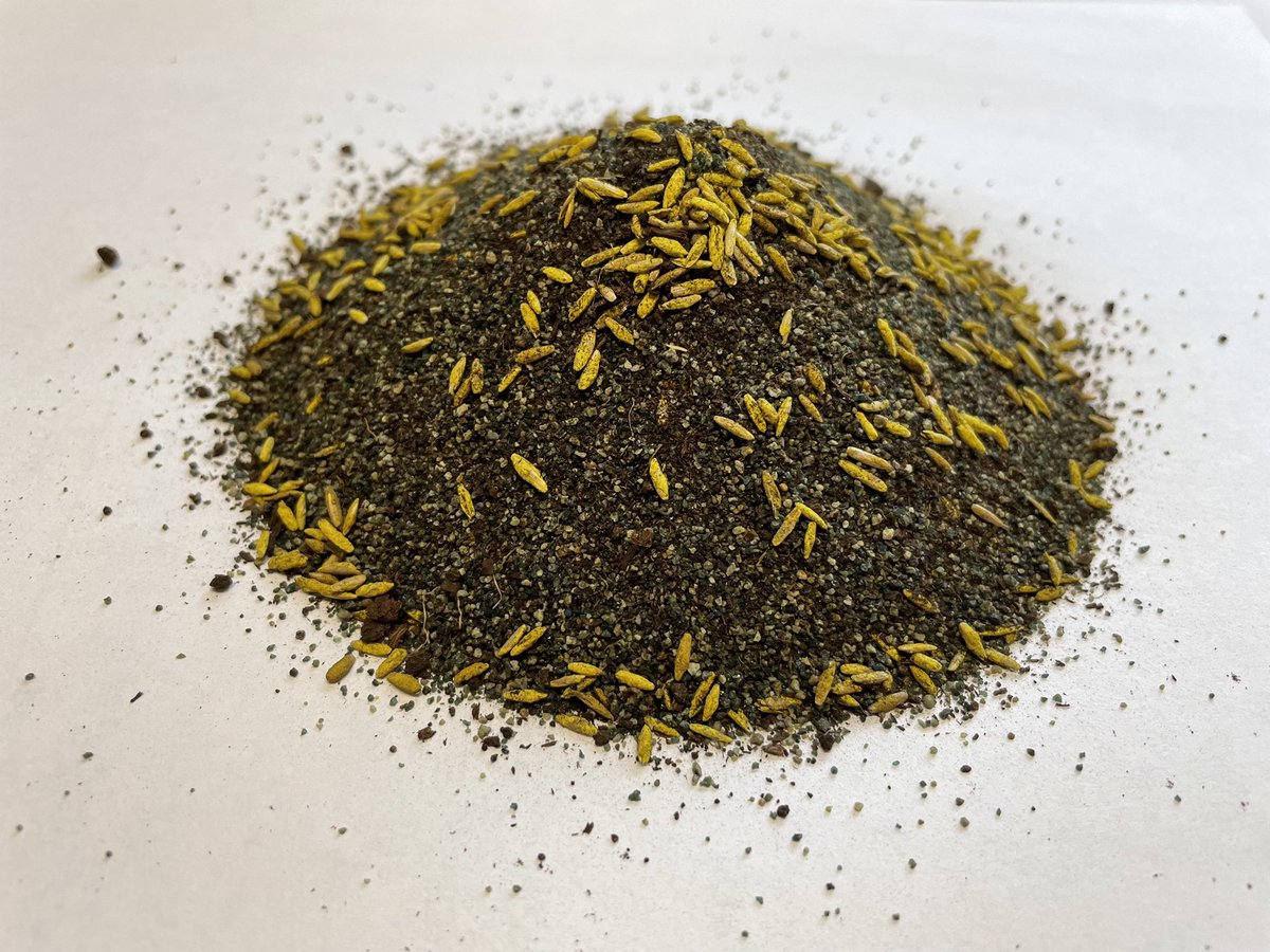 TurfMend's tweet photo. A closer look at our TurfMend with USGA Spec Green sand, peat moss and @BarenbrugUSA yellow jacket coated seed ๐๐บ๐ธ
#turfmend #repairthebare https://t.co/WcijRehXn0