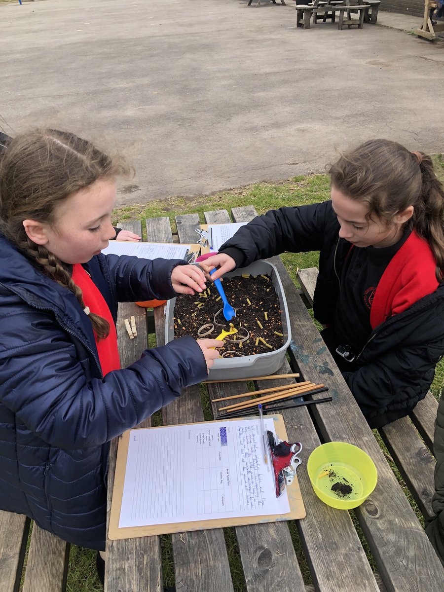 standrewsmajor's tweet photo. Investigating which of Darwinβs finches have the best beaks for certain types of food #SAMsY6 #SAMsTopic #SAMsScience https://t.co/LOItKggjA2