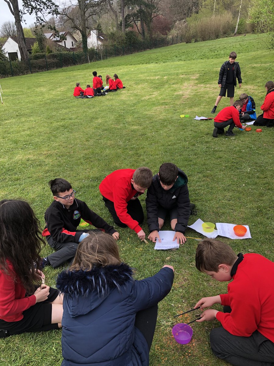 standrewsmajor's tweet photo. Investigating which of Darwinβs finches have the best beaks for certain types of food #SAMsY6 #SAMsTopic #SAMsScience https://t.co/LOItKggjA2