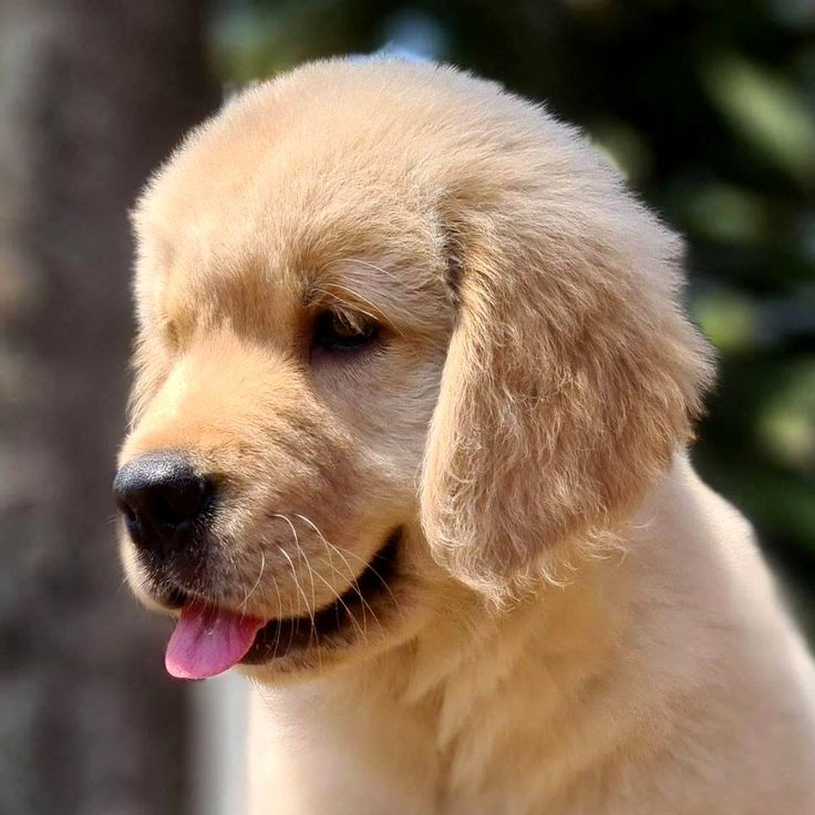 Good morning everyone, have a nice weekend