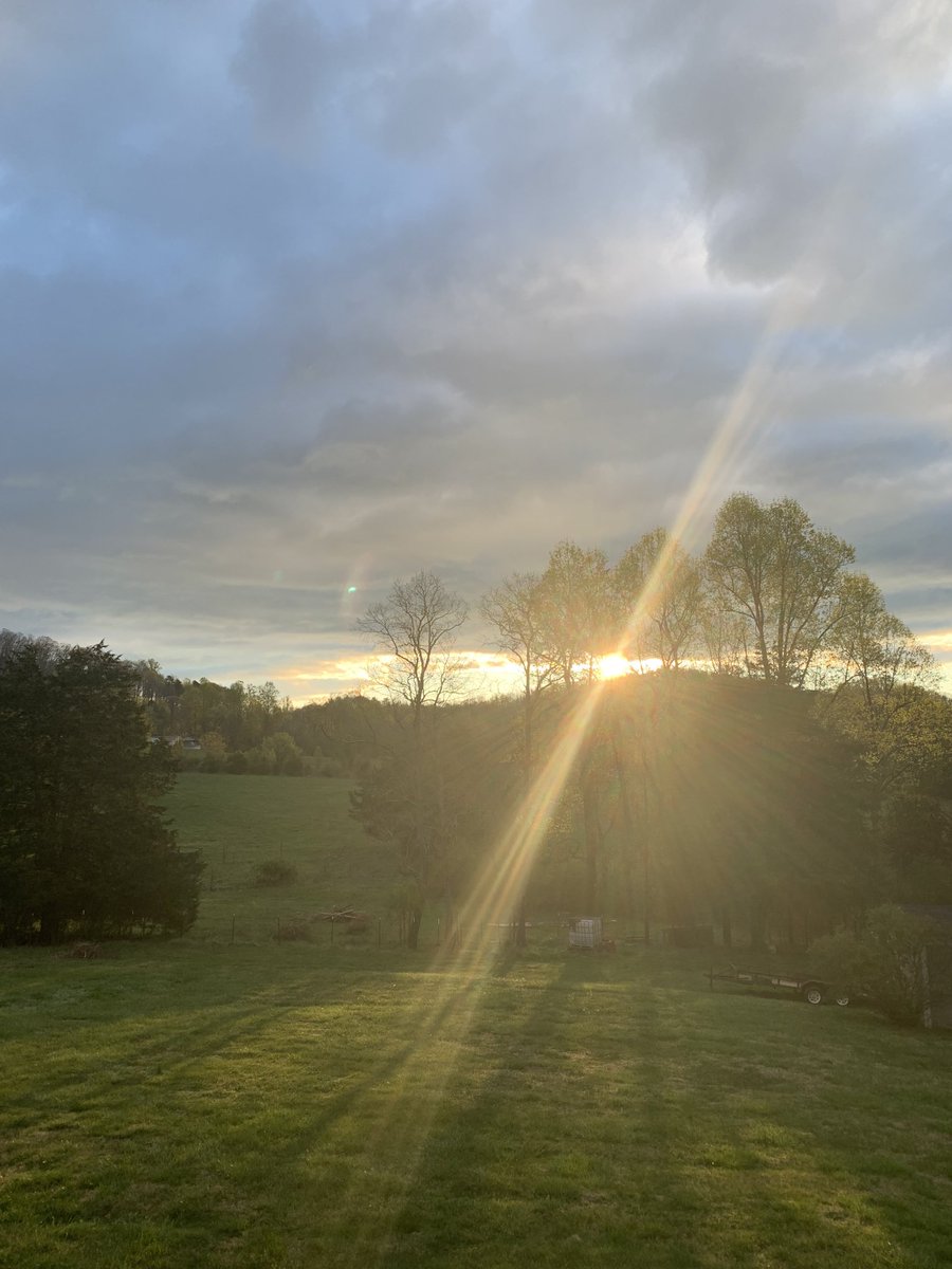 kimhcase1's tweet photo. What a beautiful start to the day! https://t.co/29dDuh2U01