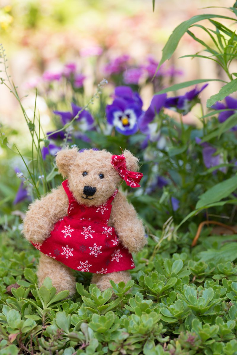 Maja 🐻 tweet media