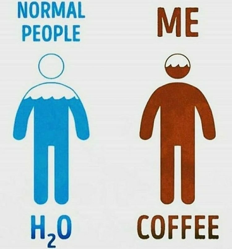 BarstoolBigCat's tweet image. 