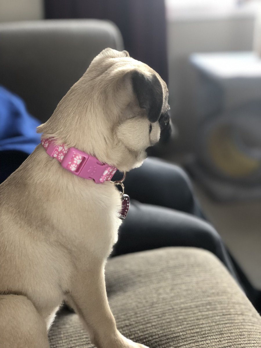 RubySnorts tweet picture