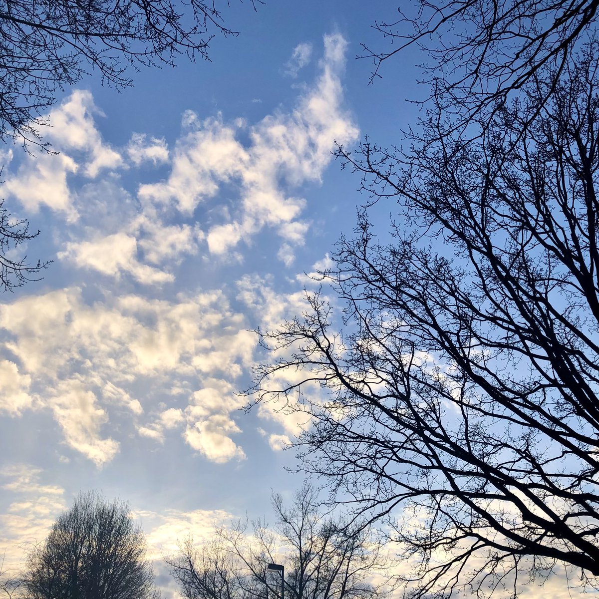 touchofeterni7y's tweet photo. Wishing you a beautiful weekend!
#NFTCommuntiy #sunset #natur #photooftheday #clouds https://t.co/hp0SP8wCbO