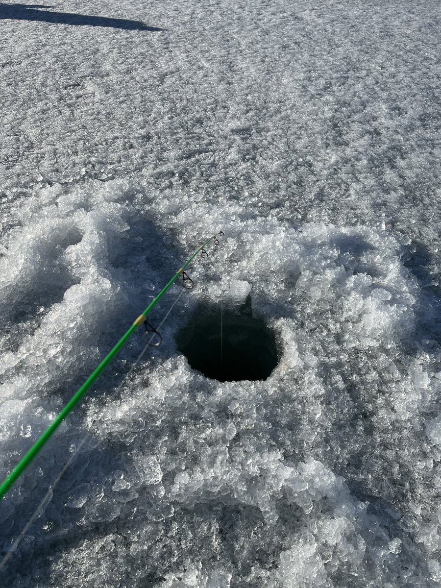 RocknRollAgrnmy's tweet photo. It was the last evening for the hard water fishing. Time for the long rods #walleye #DevilsLakeND @NormjillHanson https://t.co/y1Pa4wUFkL