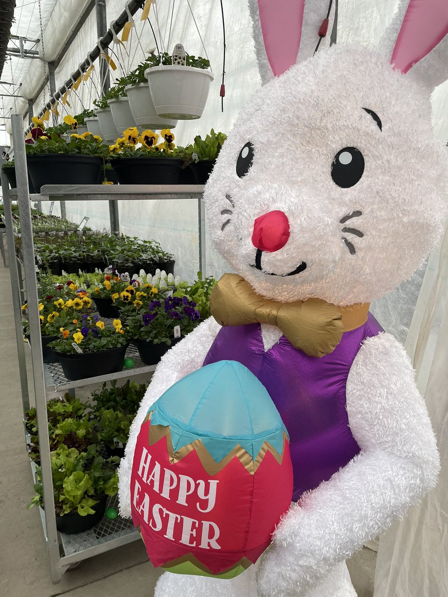 Badding Bros Farm tweet media