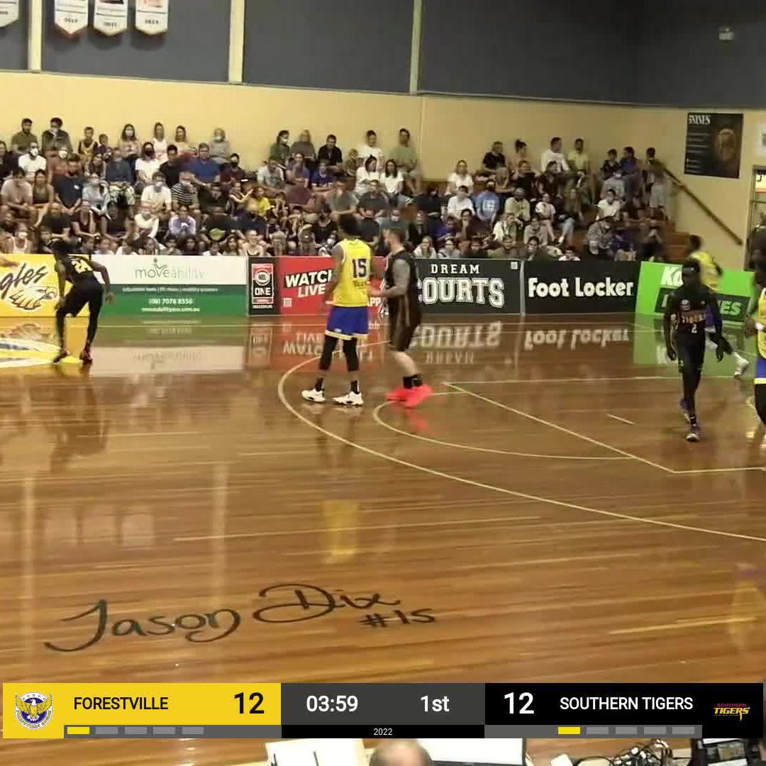 jordan 12 fiba footlocker