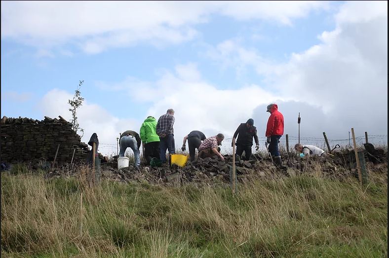Check out our open call for a funded artist residency at Analogue Farm in Rossendale - deadline 30th April tinyurl.com/d7t4w3wh