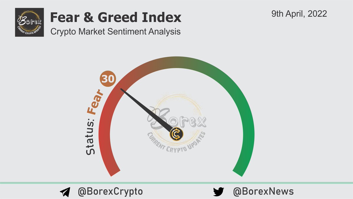 Borex News tweet media