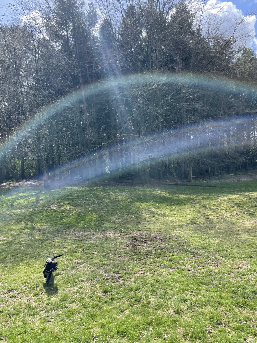 Miss Dodds tweet media