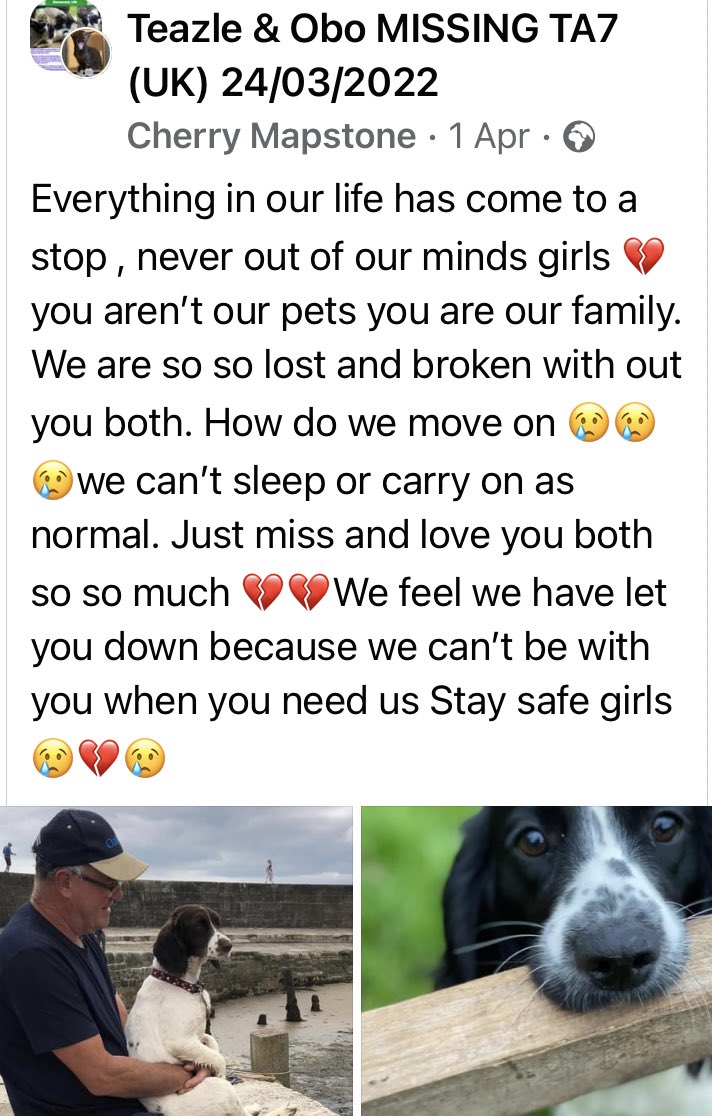SAMPAuk_'s tweet photo. TEAZLE & OBO #MissingDogs 24.03.22
Everything in our life has come to a stop, never out of our minds girls 💔you are our family. We miss & love you both so much 💔
#Ashcott #Somerset
https://t.co/LzqiwHWUmv
https://t.co/ijgomdpJrz https://t.co/3cvP63fo0C