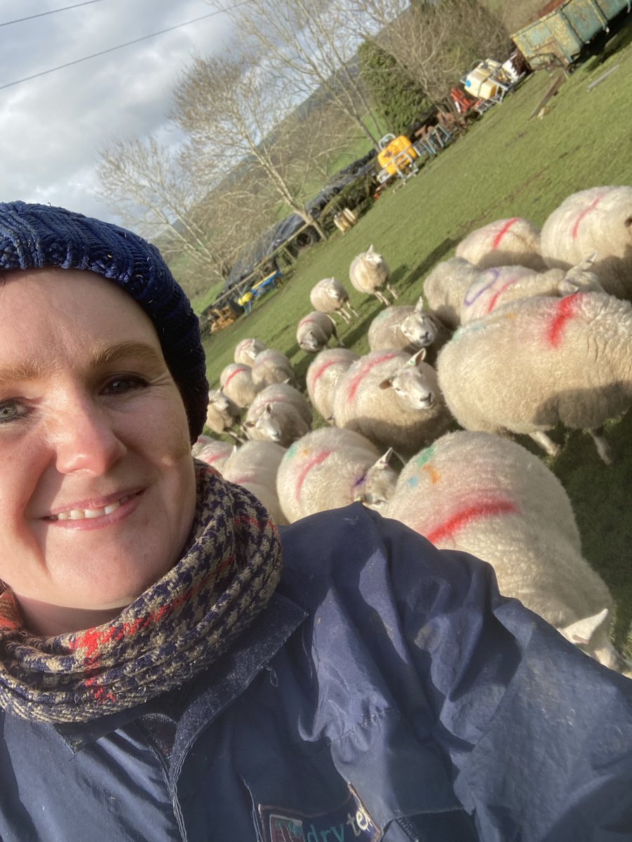 bernardsfarmuk's tweet photo. Contract shepherding this month & LOVING IT (& milking too, obvs)
🐑 🐑 🐄 #FirstGenerationFarmer #Ma #Shepherdess #StaffordshireMoorlands #Sheeping #Lambing2022 https://t.co/rHkRJV33nq