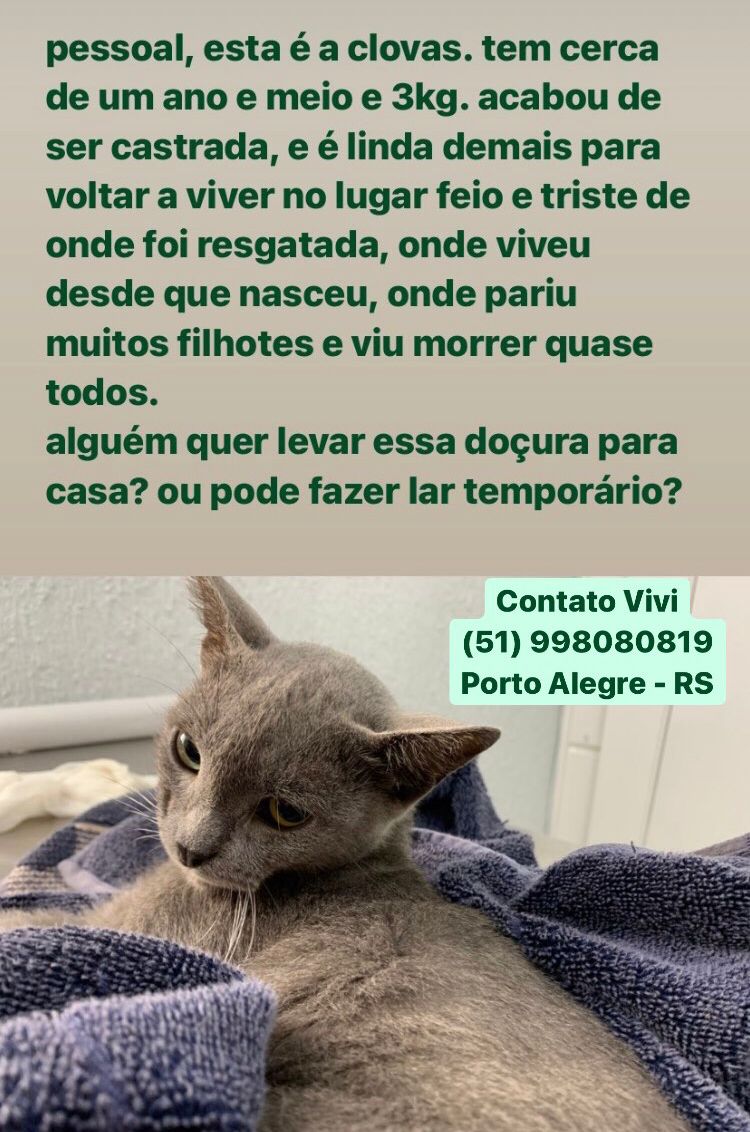 SidineiLanderSP's tweet photo. Se alguém puder ajudar....
Se não, ao menos compartilhem... https://t.co/Vxgydl17ZS