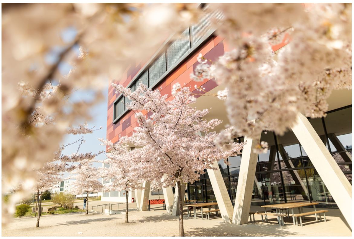 Liebes #twlz wir suchen Lehrkräfte für #Physikunterricht und/oder #Chemieunterricht an #GMS mit Oberstufe in Freiburg. #TollesTeam #Montessori #Inklusion #immerguteswetter 🙃 ems-freiburg.de