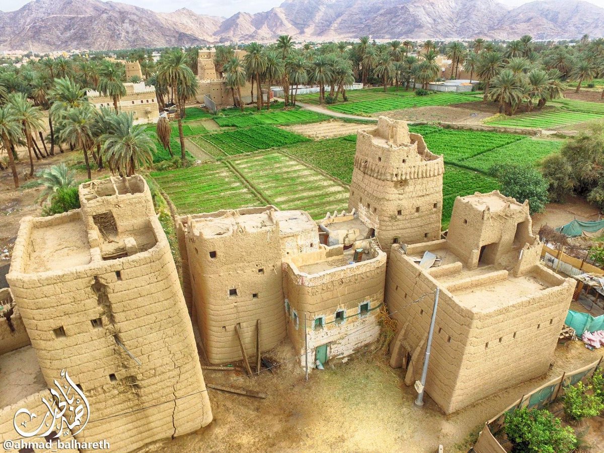 TouristNajran's tweet photo. قصور من الطين شيدت من مئات السنين متلاصقه بشغف تمتزج مع الطبيعه في منظر يسلب الالباب لاحد قرى نجران تمثل قلوب من شيدوها بسواعدهم من طين ارضهم لتعزف لحن الراحلين بهمس يبعثره بشغف سعف باسقات النخيل لتردد صداه جبال ترمز لرجال كانوا يسكنونها ويزرعون ارضها ويحمون كيانها #نجران_السياحي https://t.co/09kXe92WVq