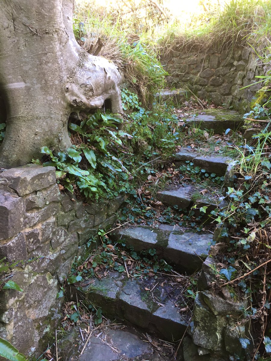 OperaCeleb's tweet photo. @MagpieandJay The Cinderella steps >>> https://t.co/xaETWdZ9t2
