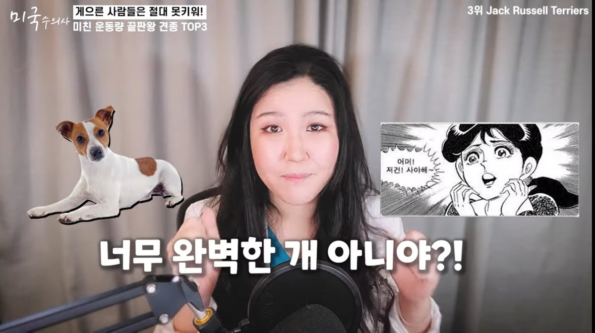 서당개프로젝트 3n개월차 tweet media