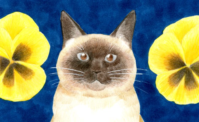 鉛筆イラストのtwitterイラスト検索結果 古い順 鉛筆イラストのtwitterイラスト検索結果 古い順