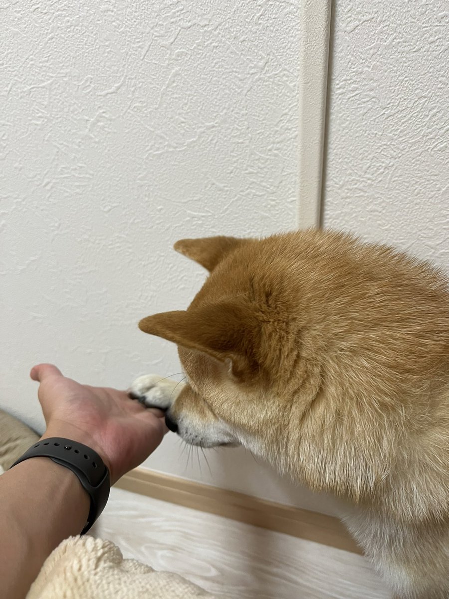 我が子❤️可愛い💕