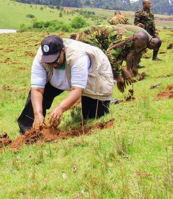 WanyekiJedidah's tweet photo. You can not sit in a boardroom and keep shouting climate crisis. Get out there and do something meaningful.We are all responsible of the crisis.
I  choose to plant trees. What about you?

#MamaMazingira https://t.co/Li9MYpp4Cl