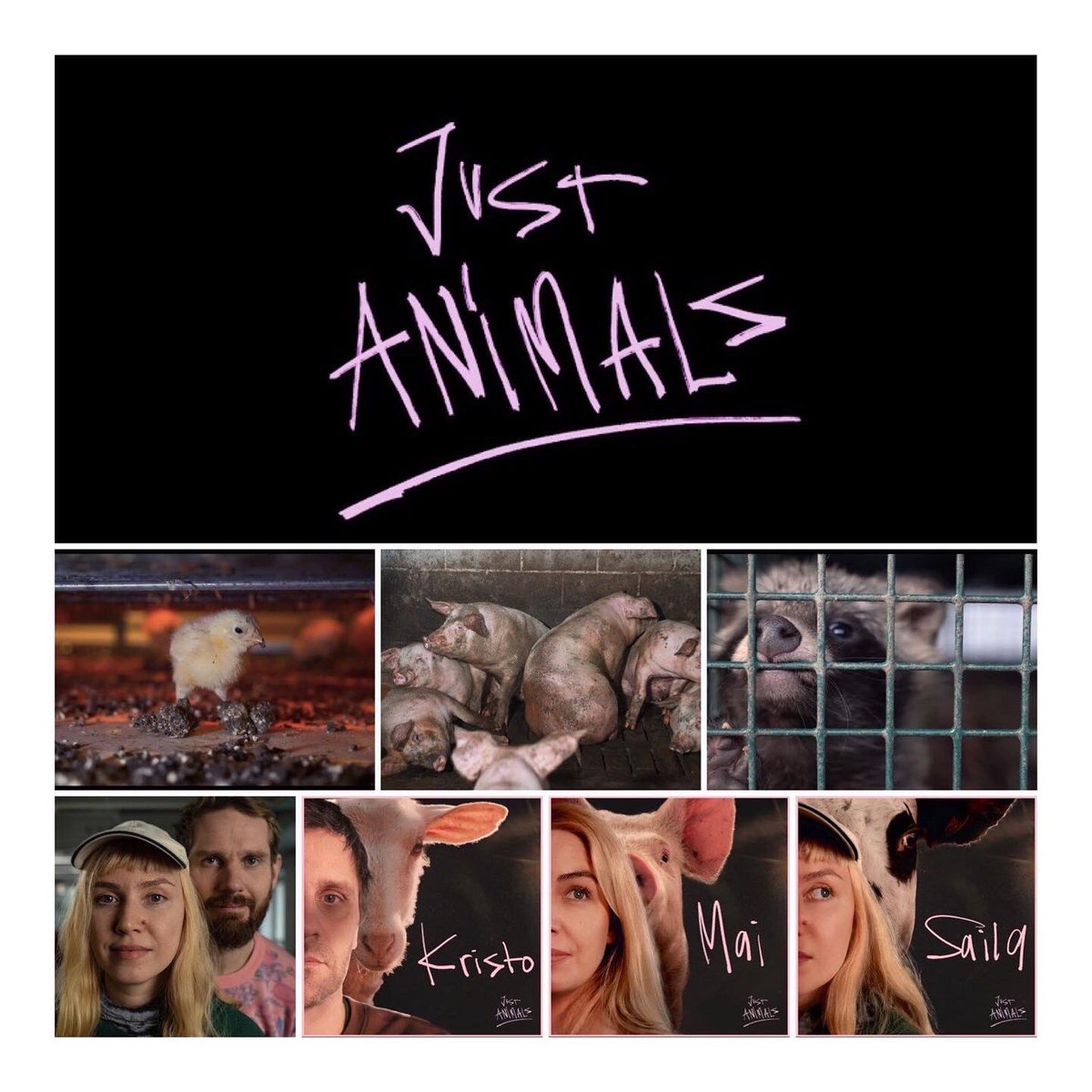 Mai Kivelä tweet media