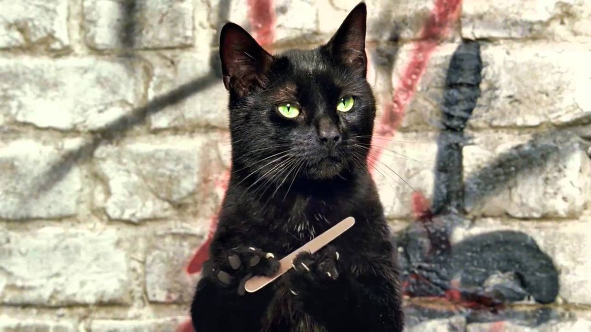 catmediums's tweet photo. Salem Saberhagen from Sabrina, the Teenage Witch (1996-2003) https://t.co/rE3VUaZW0I