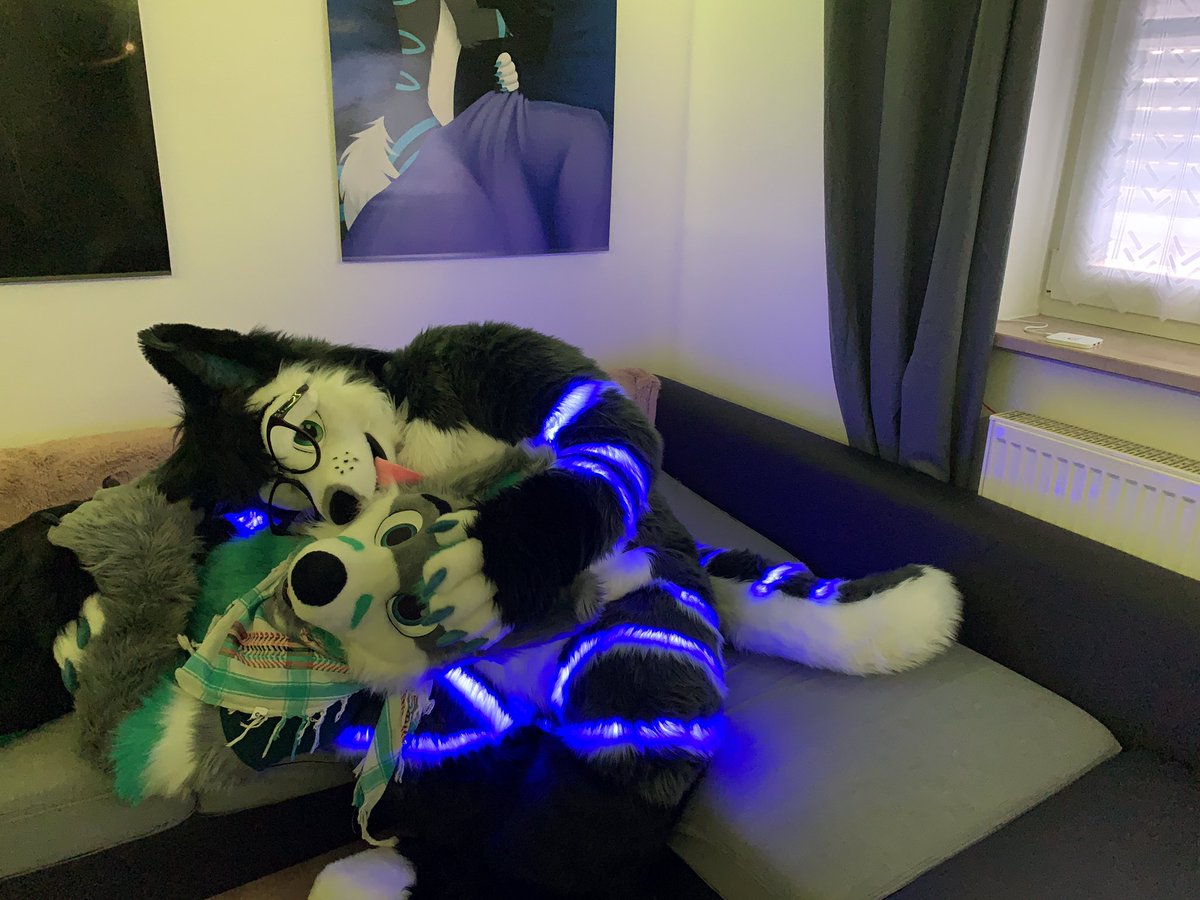 kanuki_fox's tweet photo. @TushkyAD is such a cute floof https://t.co/ebMwK81aKm