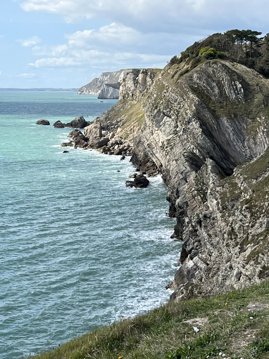 Michelle Laverick tweet media