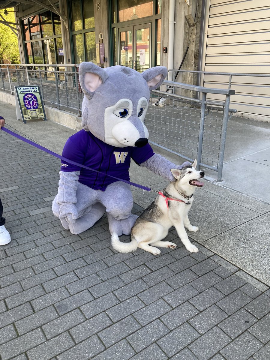 Sheila Edwards Lange tweet media