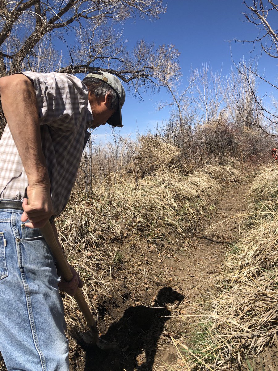 tiny2001_1999's tweet photo. Annual cleaning of the acequias (ditch) getting ready to irrigate this Spring.  #NorthernNM #NMTrue https://t.co/ifjRrNokb3