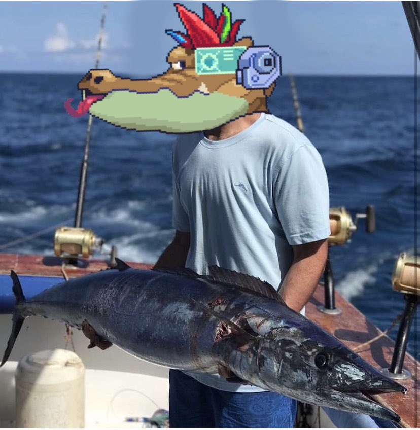 Sharkthewhite's tweet photo. Chomp! #feedthecrocs @acrocalypseNFT https://t.co/c8SrX456Si