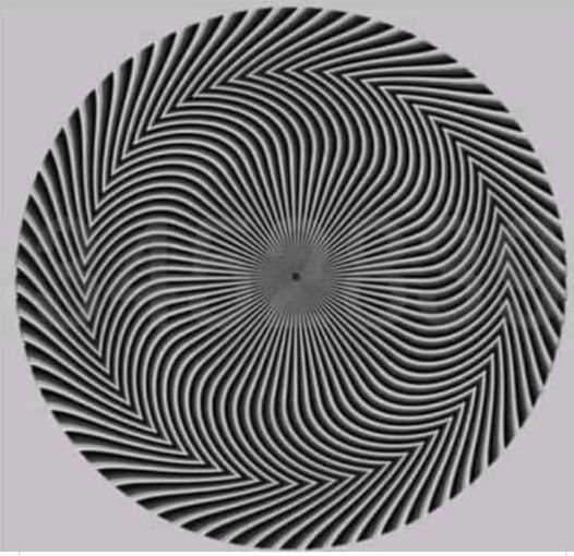 Luiz Carvalho tweet media