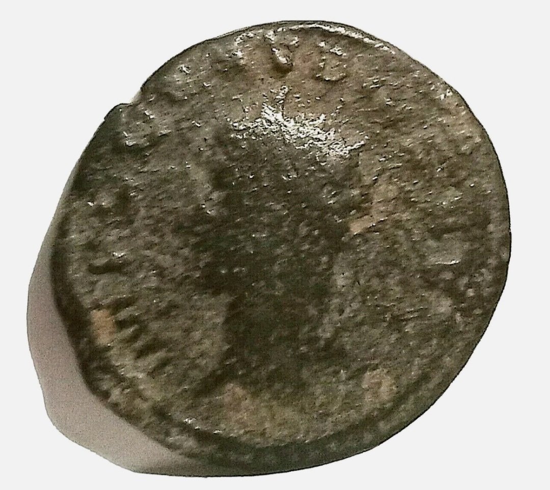 haddadm70's tweet photo. Claudius II Gothicus. AD 268-270. Antoninian- Imperial Roman Bronze Ancient coin
https://t.co/OgMJOTY33T https://t.co/tlQ5UmHK1B