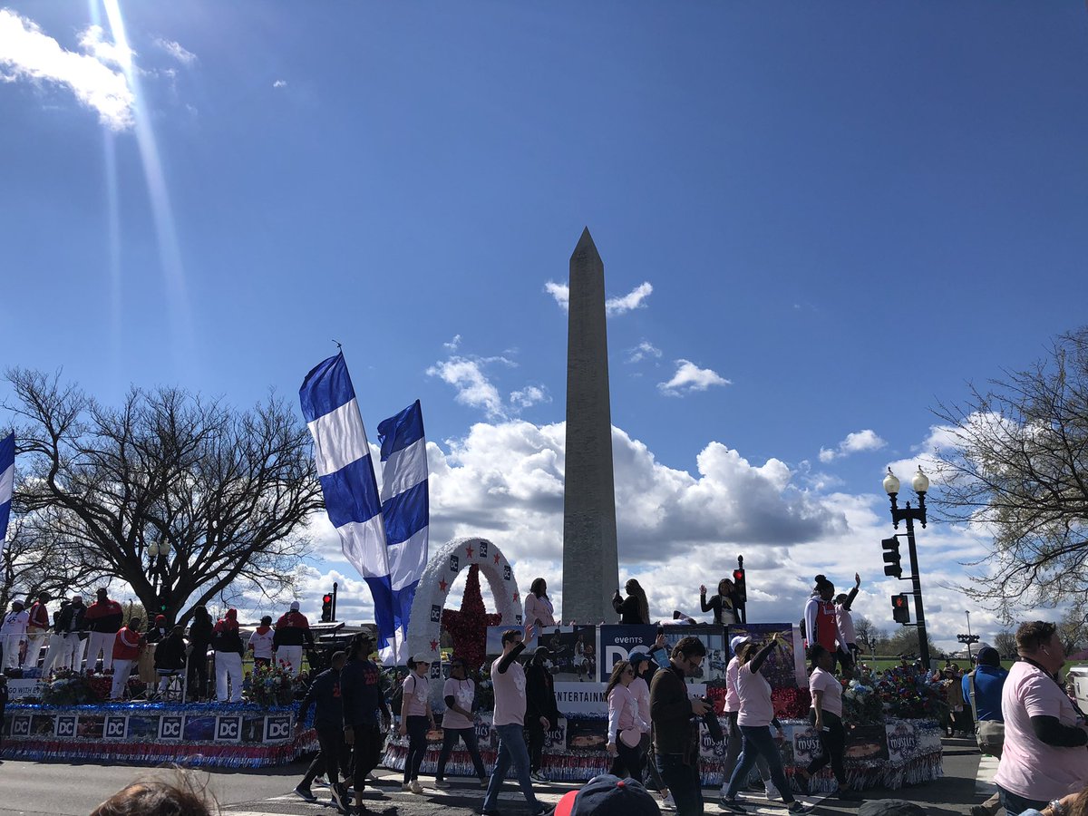 A beautiful morning for the #CherryBlossomParade - back after a two year hiatus. #CherryBlossoms and #Tulips @NationalMallNPS 
@CherryBlossFest @capitalweather 

#Spring #Sakura #Sunny #EventsDC #SaturdayMorning #Nature #Bloom