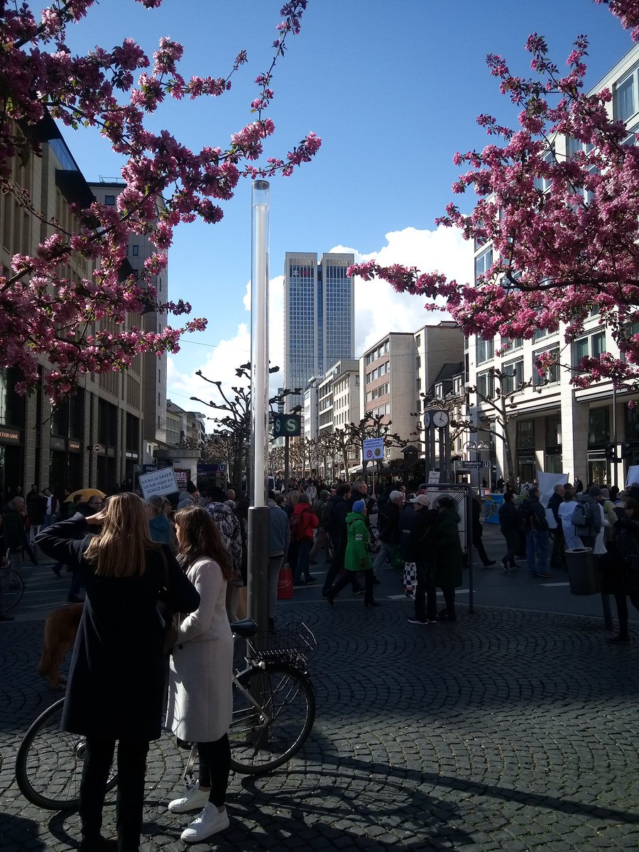 ap_tweety's tweet photo. Frankfurt blüht auf für Frieden & Freiheit, Goetheplatz/Freßgass, Frankfurt am Main, 09.04.22, #ffm0904 https://t.co/ffqqvLouyp