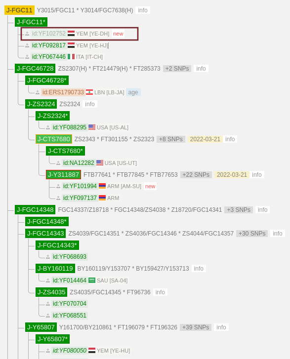 جينات اليمن Yemen's genes tweet media