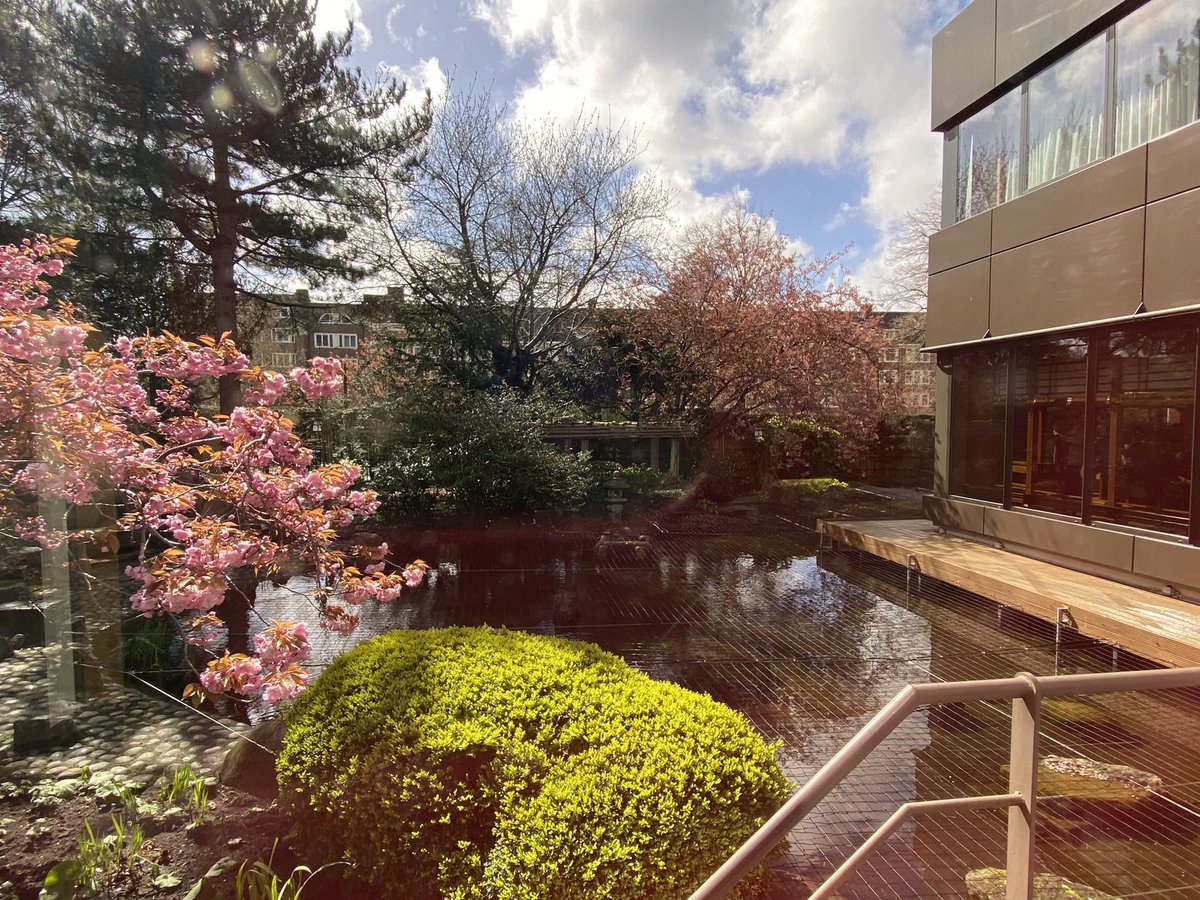 Kschiermeier's tweet photo. Great lunch and lecture about the beautiful Japanese garden of @Hotel_Okura #NetherlandsJapanAssociation @AmsterdamNL https://t.co/8ZdTmWeeQw