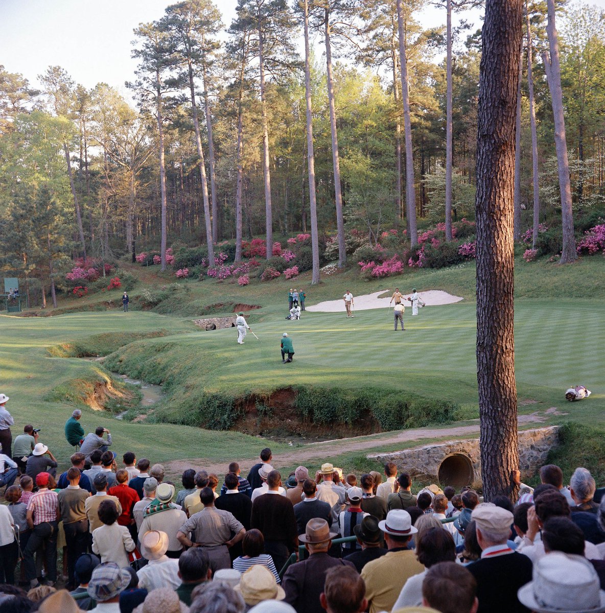 Saturday vibes.

📷 x Augusta National | 1966