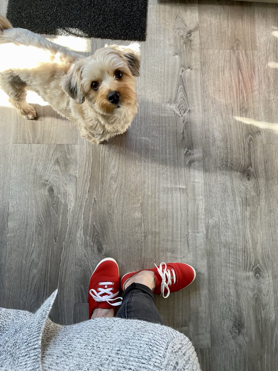 Red Socks Go With Absolutely Anything tweet media