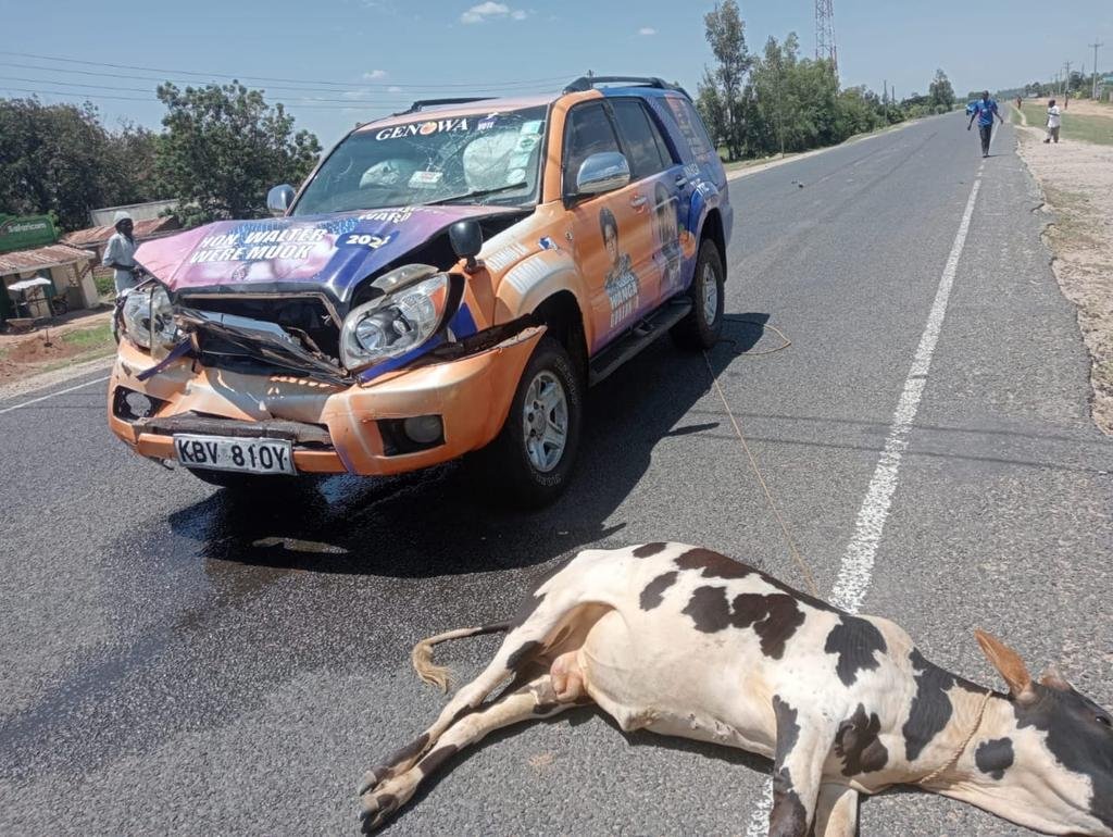 MUGAMBI AMATHI tweet media