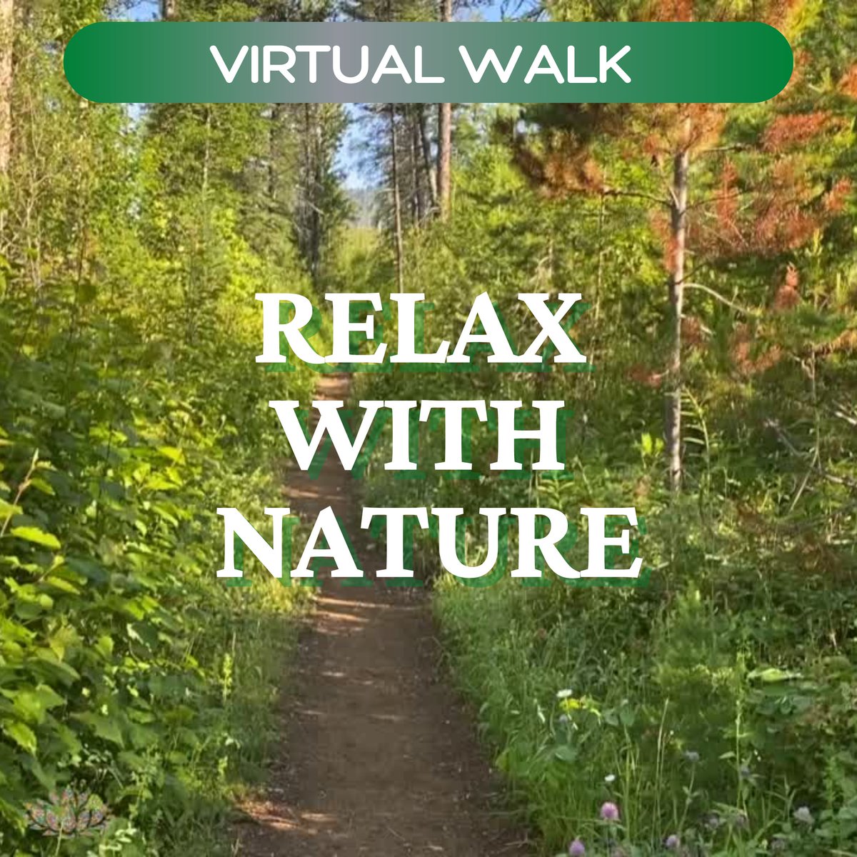 InnerPeaceThpy's tweet image. Take a walk WITH ME! 🌻🥰
   
Check out latest video release
👇👇👇
youtu.be/c-RYCbaSIsc 

#innerpeacesoundtherapy #innerpeacetherapy #innerpeacesoundthpy #glaciernationalpark #montanta #hike #walk #soundtherapy #relaxationsounds  #innerpeace  #relax #nature
