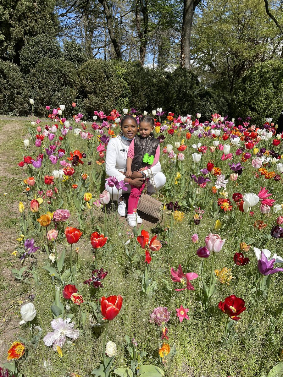 I As Of Roes 🌹 He Gifted Me A Garden 🪴❤️ youtu.be/Vl-4vG8yve8 via <a href="/YouTube/">YouTube</a>