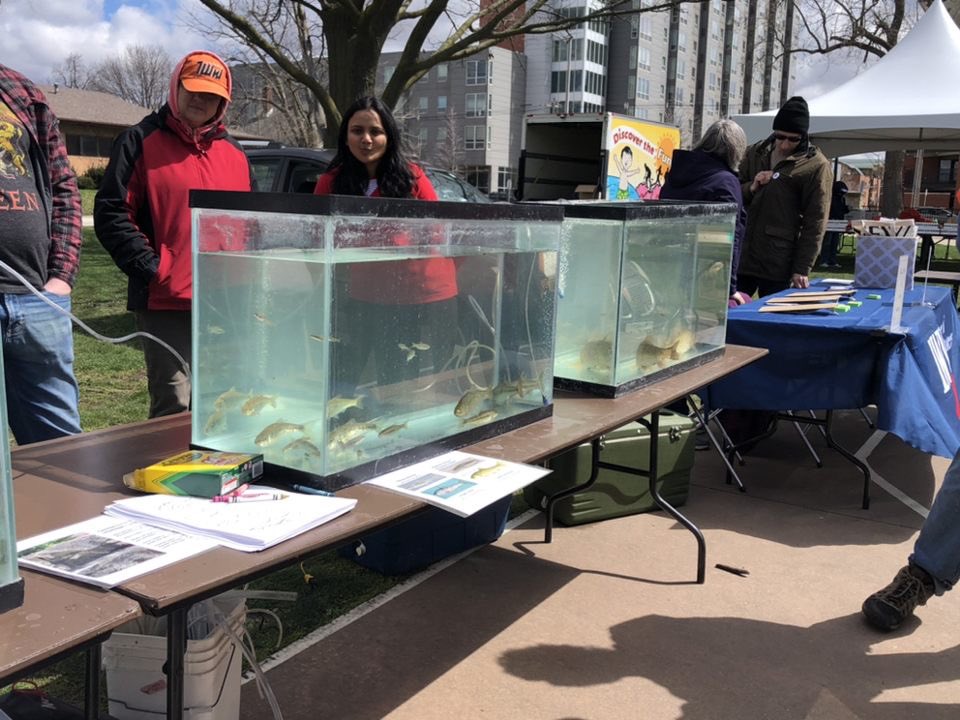 afs_uiuc's tweet photo. Great day volunteering at Boneyard Creek Community Day! Our members helped clean up trash from the creek and provided educational outreach on fishes with @GEEBatUIUC 🐟🐠🎣

 @cityofurbana @champaigncity @UofIllinois @AmFisheriesSoc https://t.co/zkC1fXKNGU