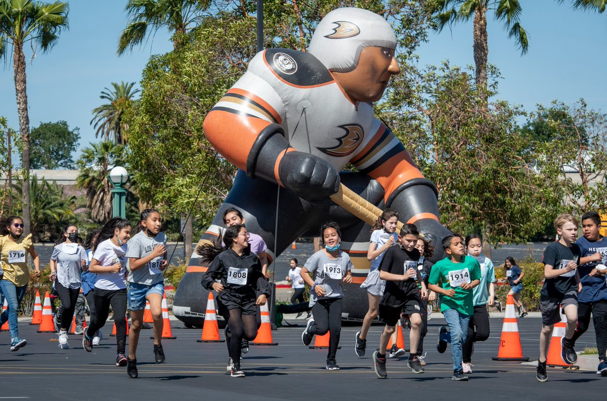 Ducks S.C.O.R.E. tweet media