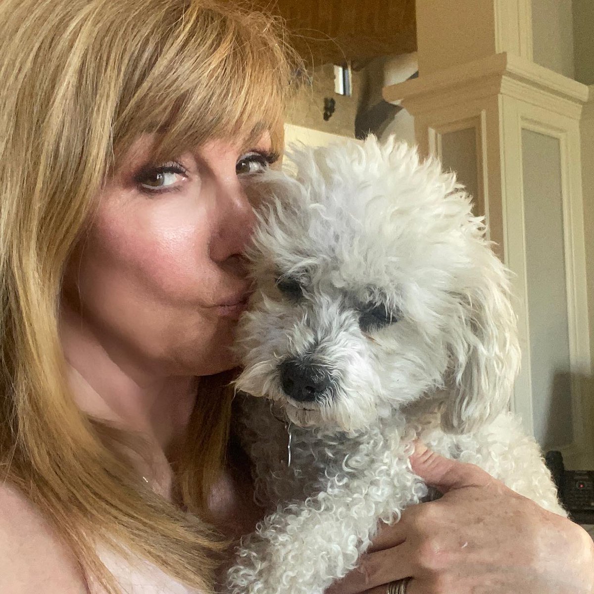 LeezaGibbons's tweet photo. Biggie is a Senior dog now but still acts and feels like a pup! No wonder I relate! #thatlittleface #seniordog #Biggierules https://t.co/s4OMEkFMjw