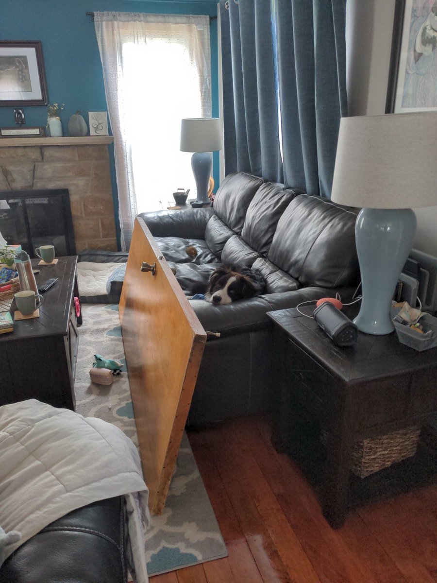 Jarredshere's tweet photo. What I would give to be able to sit around on the couch while someone else reno'd the bathroom. https://t.co/0jGlVkBQHk